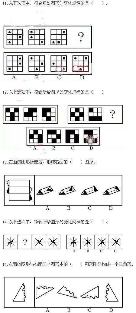 5555.jpg