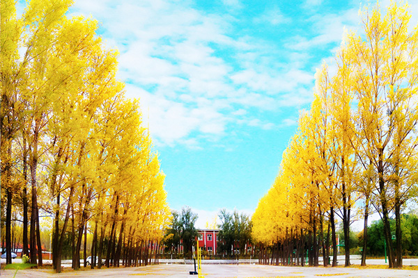 ָF˄(w)I(y)W(xu)УЩ