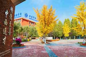 ¸W(xu)ZW(xu)УСW(xu)ô