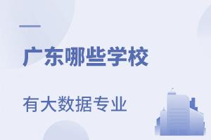 V|ЩW(xu)Уд(sh)(j)g(sh)c(yng)Ì(zhun)I(y)