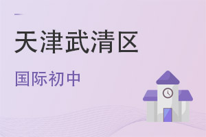 天津武清區(qū)國際初中