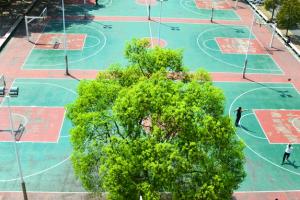 西安文理學院繼續(xù)教育學院藝術專業(yè)怎么樣？