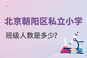 (yng)^(q)˽СW(xu)һ(g)༉(j)ČW(xu)˔(sh)ж?
