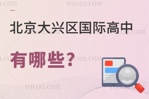 北京大興區(qū)國(guó)際高中有哪些