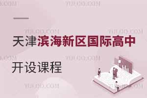 天津?yàn)I海新區(qū)國際高中開設(shè)課程