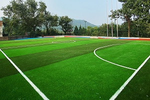 (chng).jpg
