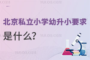 ˽СW(xu)СҪʲô2023汾