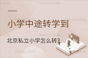 СW(xu);D(zhun)W(xu)˽СW(xu)ôD(zhun)˽D(zhun)W(xu)