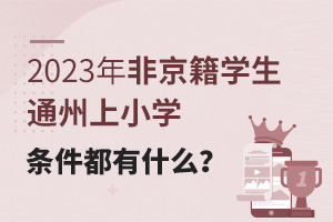 2023ǾW(xu)ͨСW(xu)lʲô