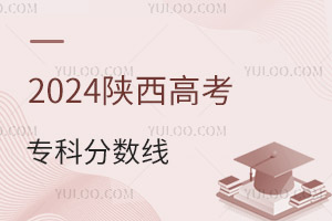 2024߿(zhun)Ʒ?jn)?sh)(xin)Ƕ2019-2024?jn)?sh)(xin)