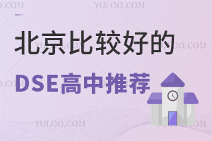 2024DSEɿ(j)l(f)^õDSE]