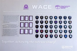 WACE߿ | w͇HLºףԸ۵όW(xu)WACE߿Дث@ѿ