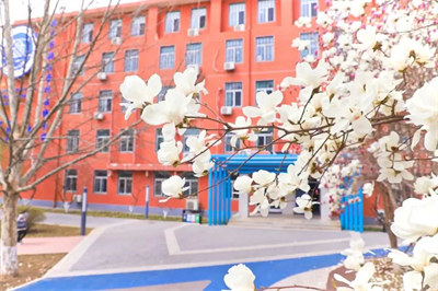 北京新府學外國語學校(國內(nèi)班)家長印象如何？大家的評價好不好？