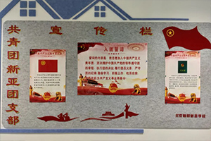 北京市朝陽(yáng)區(qū)新亞學(xué)校開(kāi)展團(tuán)課活動(dòng)：共繪青春新篇章！