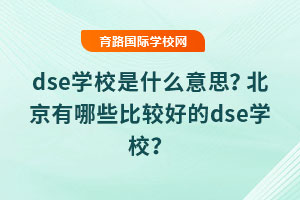 dseW(xu)Уʲô˼Щ^õdseW(xu)У