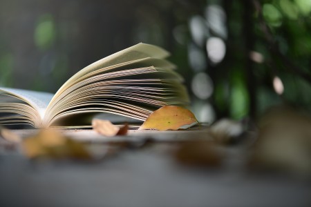北京市朝陽(yáng)區(qū)新亞學(xué)校3月份開(kāi)放日預(yù)約中，國(guó)家督學(xué)&特級(jí)校長(zhǎng)面對(duì)面！