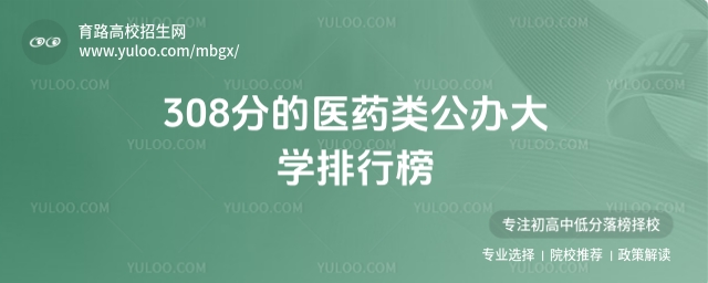 308ֵt(y)ˎkW(xu)а2025