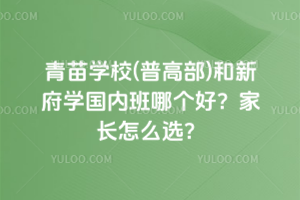 青苗學(xué)校(普高部)和新府學(xué)國(guó)內(nèi)班哪個(gè)好？家長(zhǎng)怎么選？