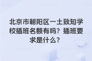 北京朝陽區(qū)一土致知學(xué)校插班名額有嗎？插班要求是什么？
