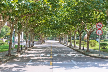 天津市新城高級中學(xué)高中學(xué)籍辦理條件盤點，無本市戶籍學(xué)生需注意！