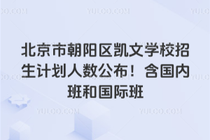 2025年北京市朝陽區(qū)凱文學(xué)校招生計(jì)劃人數(shù)公布！含國內(nèi)班和國際班