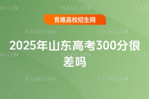 2025ɽ|߿300ĲW(xu);Ȼ