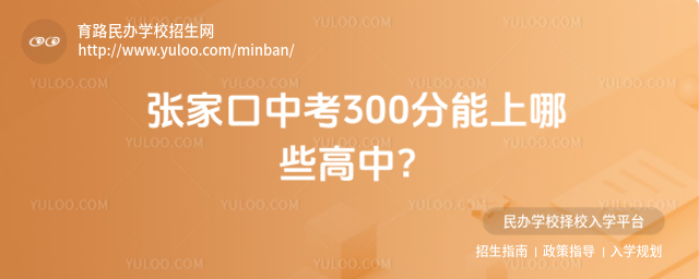 ҿп300Щ