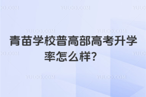 青苗學(xué)校普高部高考升學(xué)率怎么樣？