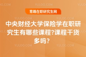 中央財(cái)經(jīng)大學(xué)保險(xiǎn)學(xué)在職研究生有哪些課程?課程干貨多嗎？