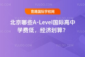 ЩA-LevelHЌW(xu)M(fi)(jng)(j)㣿