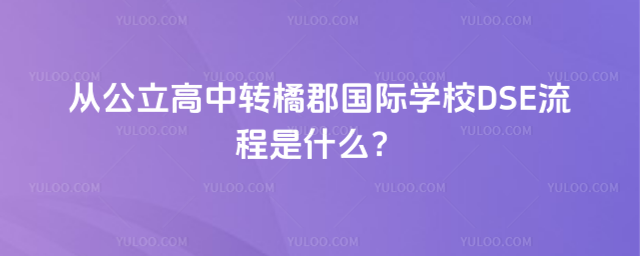 ĹD(zhun)ٿHW(xu)УDSEʲô