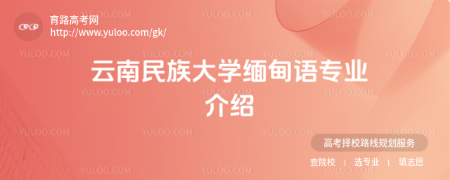 W(xu)Z(y)(zhun)I(y)B