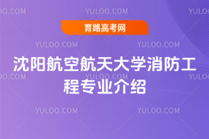 (yng)պW(xu)̌I(y)B