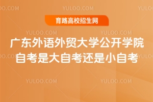 廣東外語(yǔ)外貿(mào)大學(xué)公開(kāi)學(xué)院自考是大自考還是小自考？