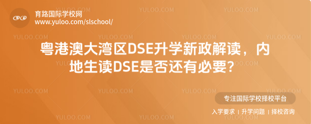 ۰Ĵ󞳅^(q)DSEW(xu)x(ni)xDSEǷ߀бҪ