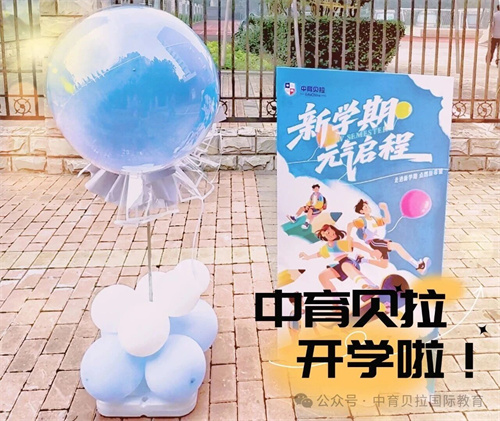 ؐZW(xu)_W(xu)g