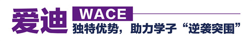 愛迪WACE