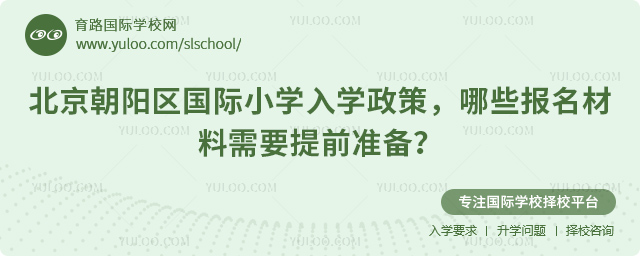 2026年北京朝陽區(qū)國際小學入學政策