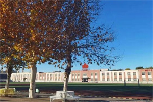 北京中加學(xué)校